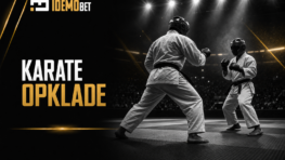 Klađenje na karate – discipline, poeni i obračun za početnike